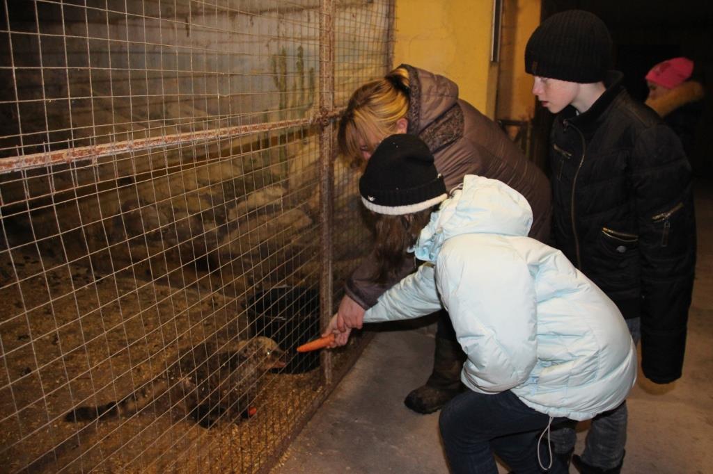 Согреем детские сердца -Поездка в зооцентр "Алабай"