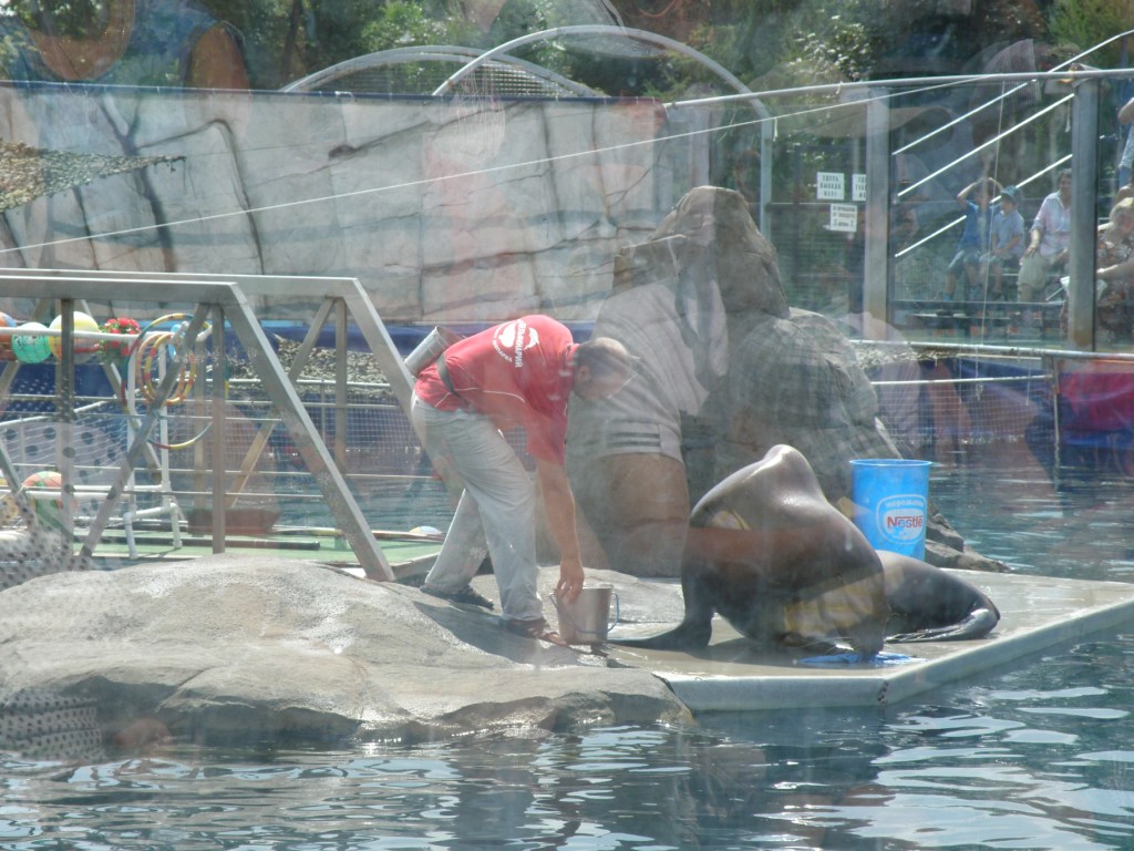 Поездка в Московский зоопарк