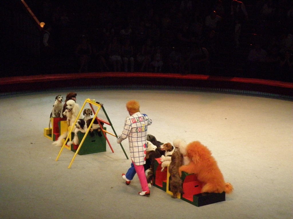 Поездка в Цирк на проспекте Вернадского
