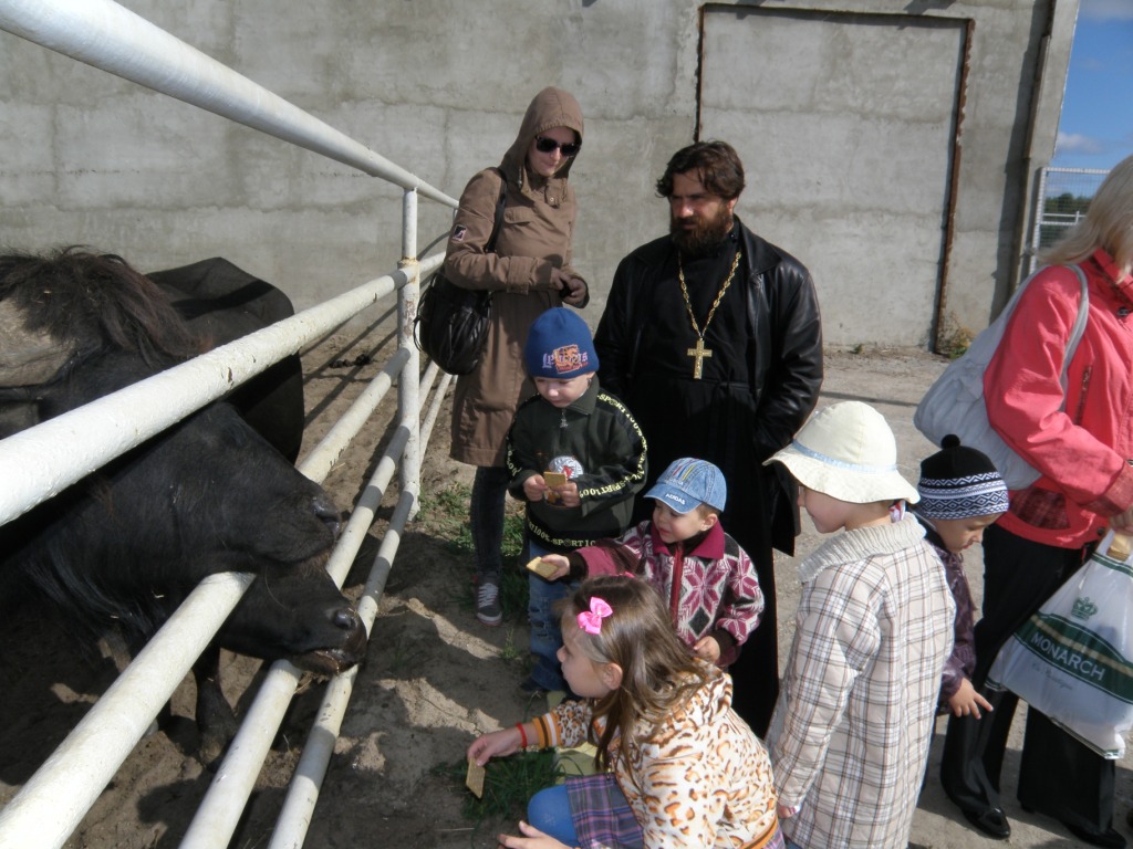 Поездка в мини-зоопарк "Горки"