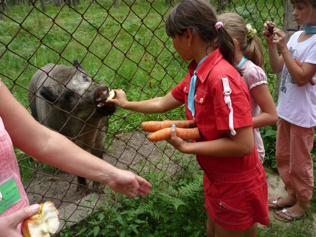 Поездка в Приокско-Террасный государственный природный биосферный заповедник