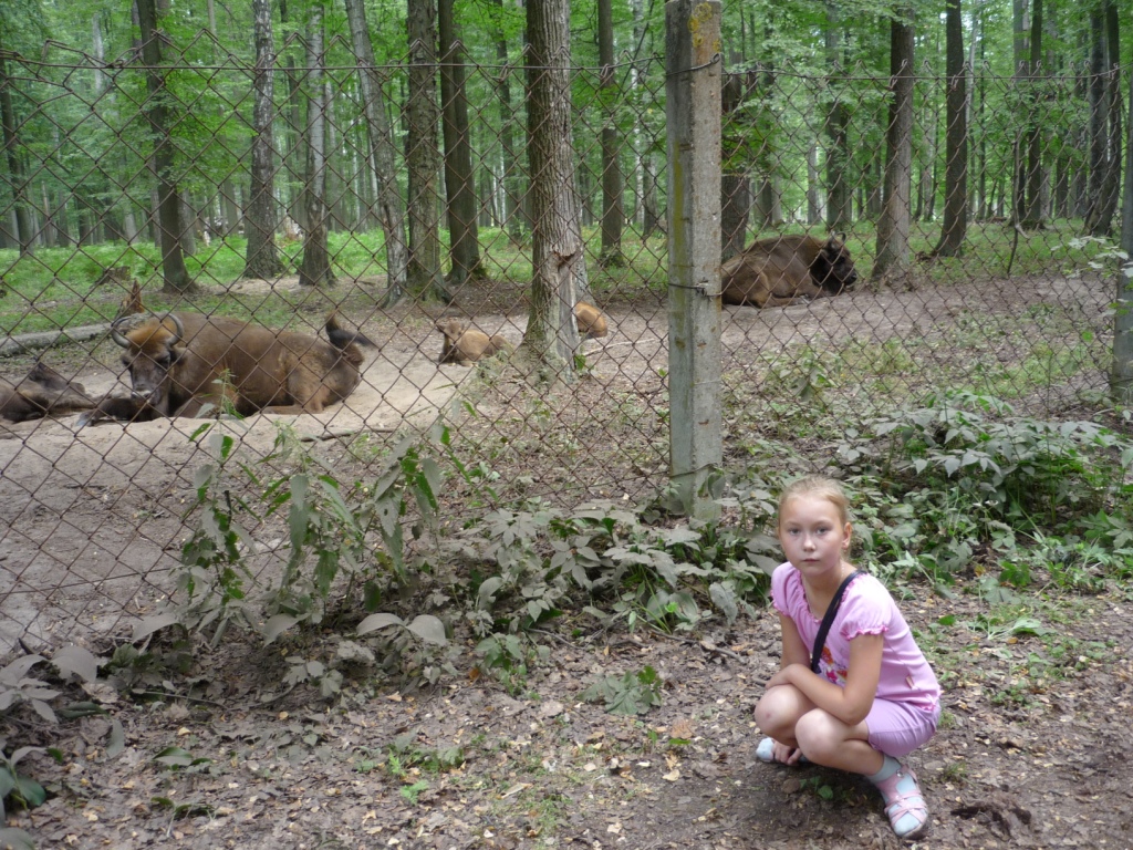 Поездка в Приокско-Террасный государственный природный биосферный заповедник