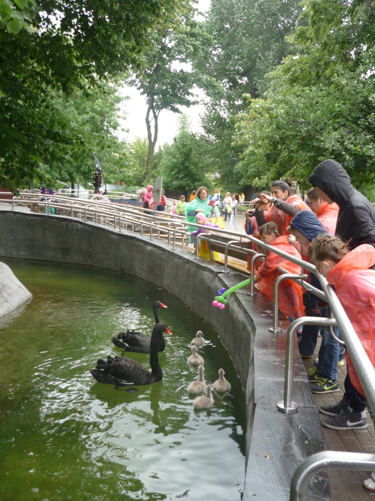 Поездка в зоопарк
