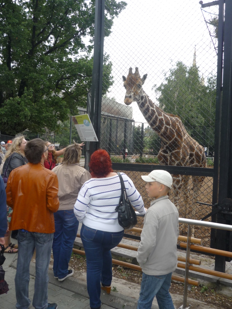 Поездка в зоопарк