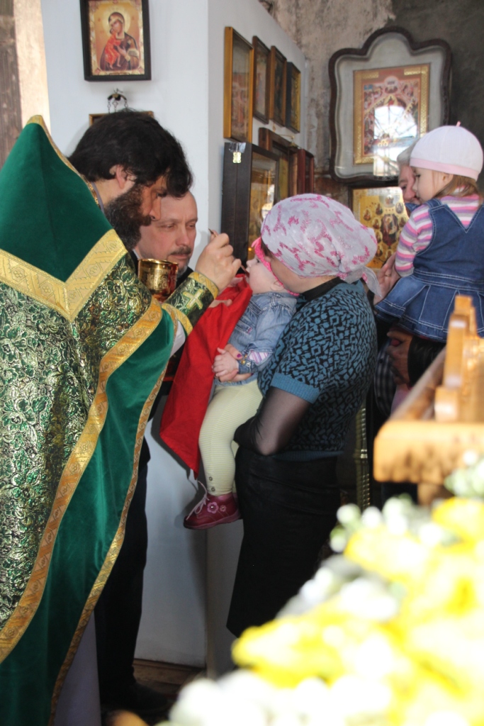 Вход Господень в Иерусалим (Вербное воскресенье)